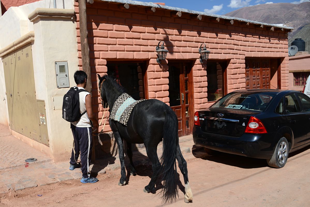 10 Travel By Horse or Car In Purmamarca
